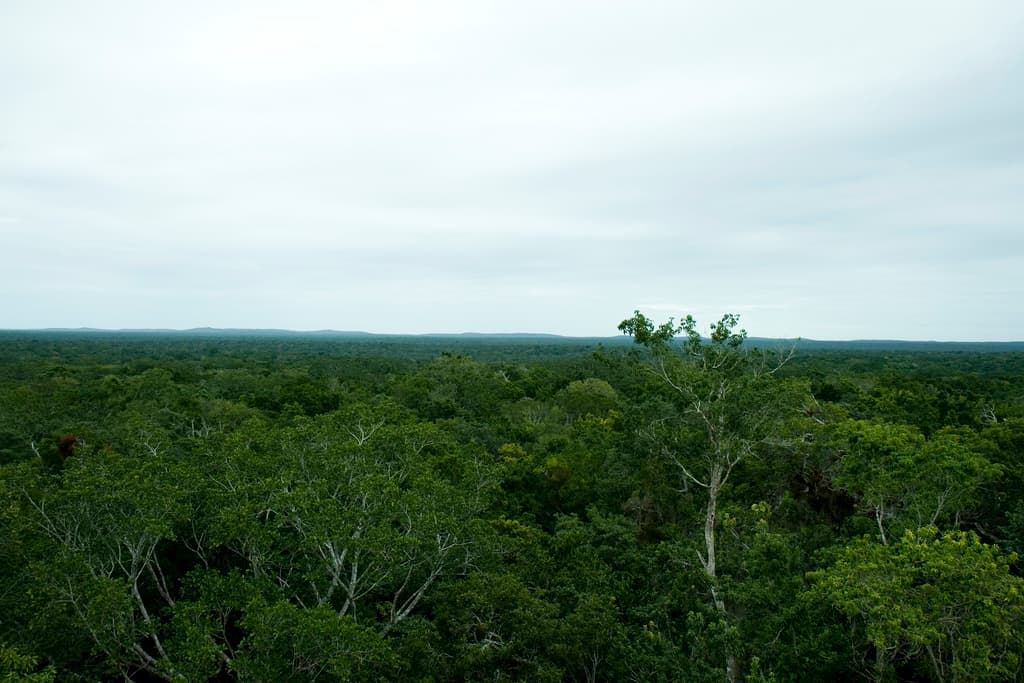 Campeche